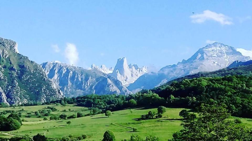 Hotel Arenas De Cabrales- Apartamentos Eksteriør bilde